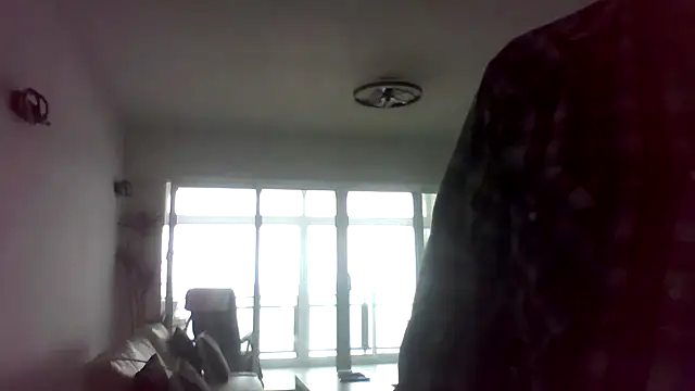 silverstallion online show from February 4, 2026, 2:12 pm