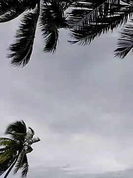 Snapshot of Luna-Natural chatting on November 29, 2025, 5:24 pm Luna-Natural online show from November 29, 2025, 5:24 pm