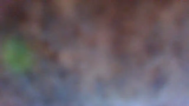 Snapshot of Hunzi123 chatting on June 7, 2026, 11:43 pm Hunzi123 online show from June 7, 2026, 11:43 pm