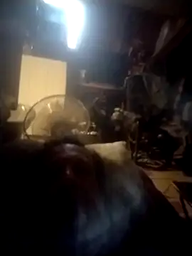 Snapshot of trucker1979 chatting on September 27, 2025, 10:54 am trucker1979 online show from September 27, 2025, 10:54 am