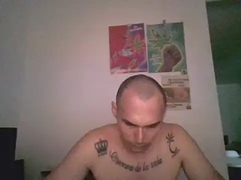Snapshot of universitario-col chatting on December 9, 2024, 12:56 am universitario-col online show from December 9, 2024, 12:56 am