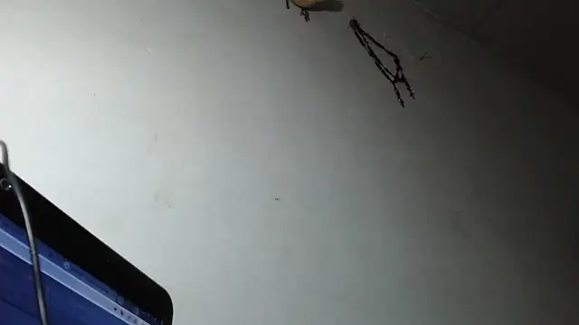 Snapshot of adrixxx38 chatting on March 5, 2026, 12:18 am adrixxx38 online show from March 5, 2026, 12:18 am