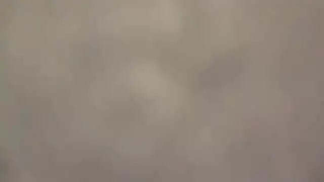 fmodel online show from September 15, 2025, 2:06 pm