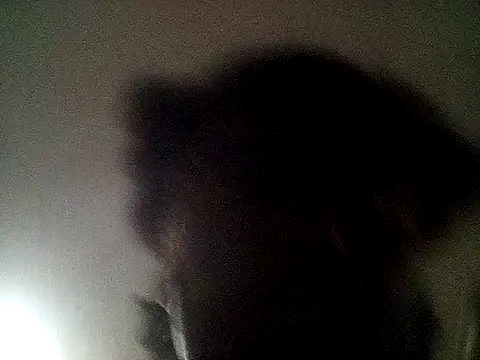 Snapshot of blasphemous chatting on February 7, 2025, 9:47 am blasphemous online show from February 7, 2025, 9:47 am