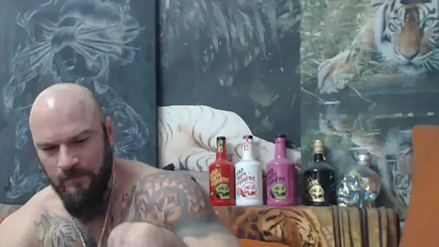 viking 30 online show from December 2, 2025, 5:20 am