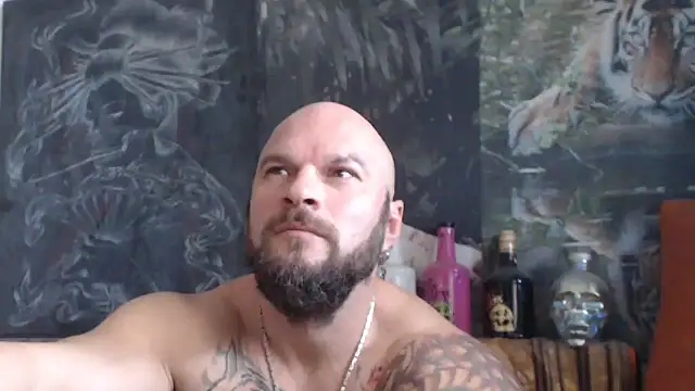 viking 30 online show from October 24, 2025, 6:56 am