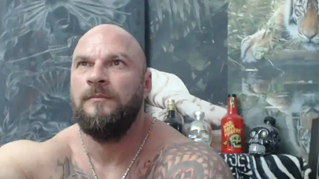 Snapshot of viking_30 chatting on June 6, 2026, 5:51 pm viking 30 online show from June 6, 2026, 5:51 pm