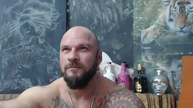 viking 30 online show from October 14, 2025, 7:25 pm