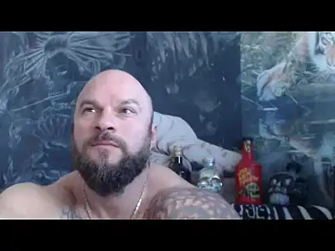 viking 30 online show from May 4, 2026, 6:17 am