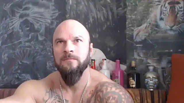 viking 30 online show from November 26, 2025, 7:41 am