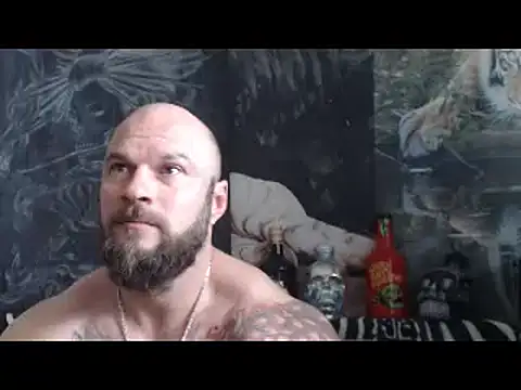 viking 30 online show from May 2, 2026, 10:42 am