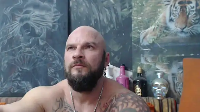 viking 30 online show from October 31, 2025, 8:16 pm