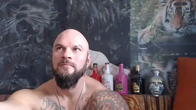 viking 30 online show from November 18, 2025, 7:44 am