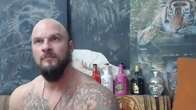 viking 30 online show from November 15, 2025, 7:18 pm