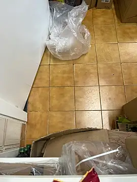 Mindnorthcam2 online show from February 16, 2026, 7:40 am