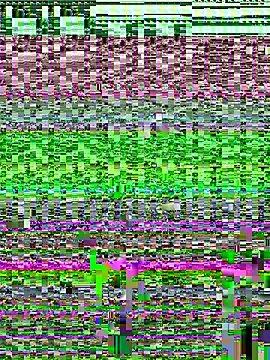 Snapshot of jessieamy chatting on July 23, 2026, 11:55 pm jessieamy online show from July 23, 2026, 11:55 pm