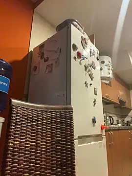 camelia3 online show from October 25, 2025, 7:36 pm