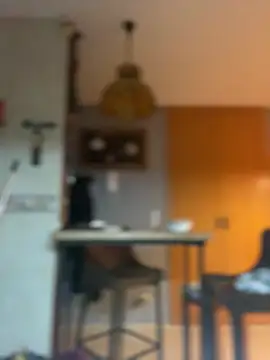 Snapshot of camelia3 chatting on February 25, 2026, 12:44 am camelia3 online show from February 25, 2026, 12:44 am