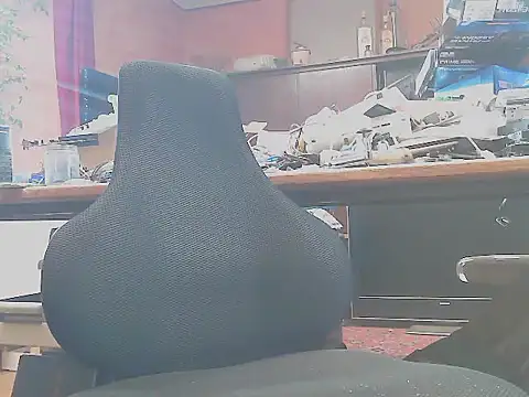 Snapshot of HaraldGermany chatting on March 9, 2025, 3:05 pm HaraldGermany online show from March 9, 2025, 3:05 pm