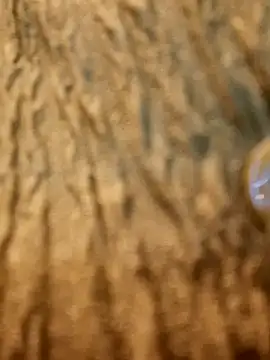 Snapshot of Dirtyfeelin chatting on February 13, 2025, 11:28 am Dirtyfeelin online show from February 13, 2025, 11:28 am