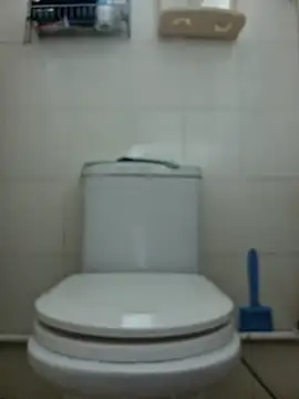 assluv1909 online show from February 9, 2025, 5:40 am