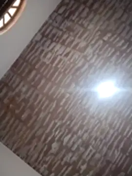 Snapshot of catdool chatting on December 14, 2025, 12:22 pm catdool online show from December 14, 2025, 12:22 pm