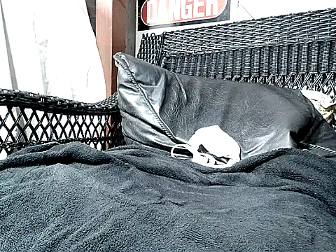 Snapshot of HungHawaiian808@xh chatting on November 10, 2025, 4:50 am HungHawaiian808xh online show from November 10, 2025, 4:50 am