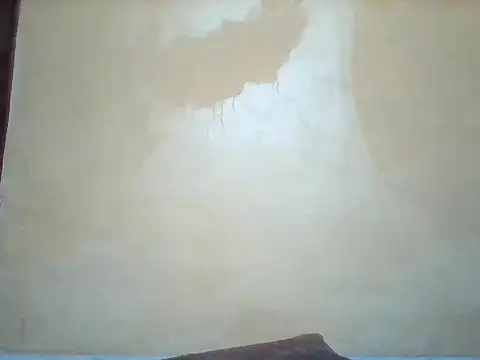 Snapshot of Africangal chatting on March 20, 2026, 8:26 am Africangal online show from March 20, 2026, 8:26 am