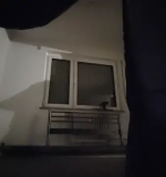 Snapshot of GermanBigDream chatting on February 3, 2026, 7:30 pm GermanBigDream online show from February 3, 2026, 7:30 pm