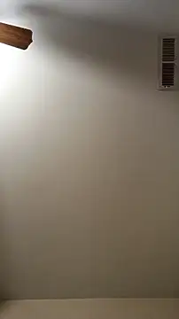 RinsingWood84 online show from January 6, 2026, 12:09 pm