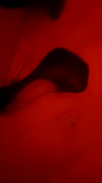 Misspadrona88 online show from October 5, 2025, 10:55 pm