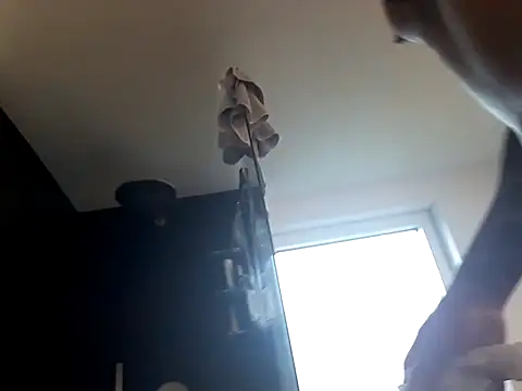 Snapshot of Prinzalbert7@xh chatting on October 27, 2025, 12:28 pm Prinzalbert7xh online show from October 27, 2025, 12:28 pm