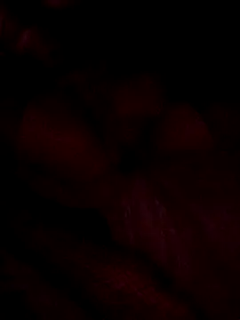 NylonBooyy online show from December 1, 2025, 12:44 am