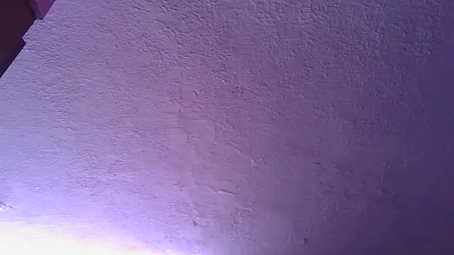 Snapshot of annarose19 chatting on December 17, 2025, 4:01 pm annarose19 online show from December 17, 2025, 4:01 pm