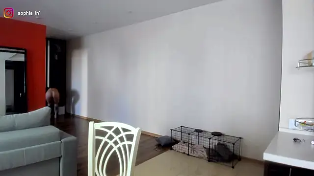 Snapshot of _in_yan chatting on March 16, 2026, 4:31 am in yan online show from March 16, 2026, 4:31 am