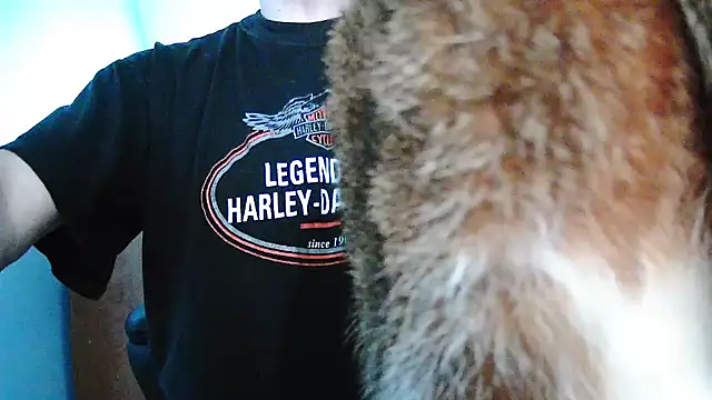 Snapshot of Niko_slave chatting on December 19, 2024, 10:34 am Niko slave online show from December 19, 2024, 10:34 am