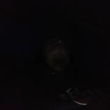 AlexAlejandro13 online show from February 3, 2026, 6:40 am