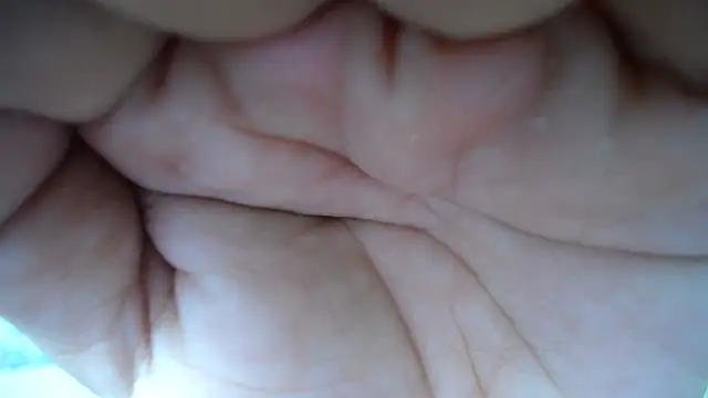 cum bigass online show from October 23, 2025, 12:04 pm