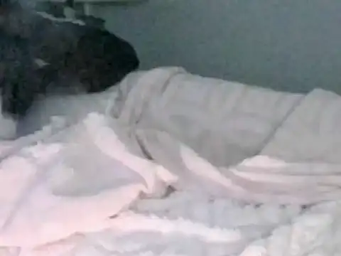 montydxxxx online show from February 5, 2026, 12:06 am