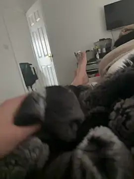 Furdale online show from March 16, 2026, 9:57 am