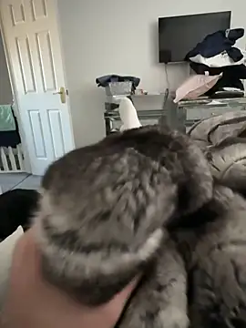 Furdale online show from November 30, 2025, 11:22 am