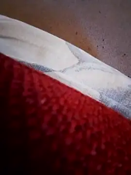 rodovlaz online show from February 10, 2026, 11:20 am