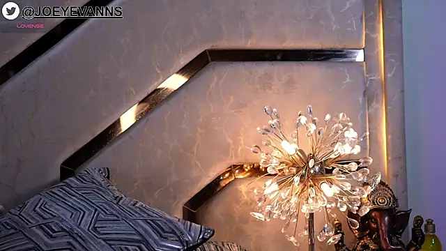 Snapshot of JOEYEVANS chatting on March 9, 2026, 2:15 am JOEYEVANS online show from March 9, 2026, 2:15 am