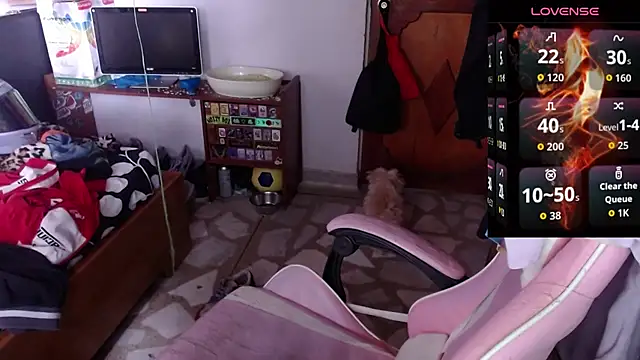 Apolo S online show from February 10, 2026, 2:27 pm