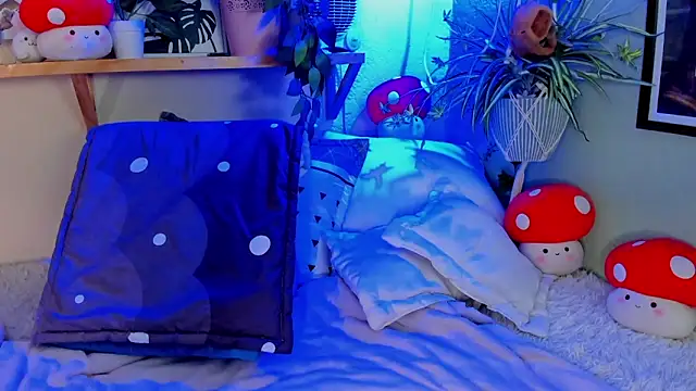 AnaPola online show from February 10, 2025, 11:25 am