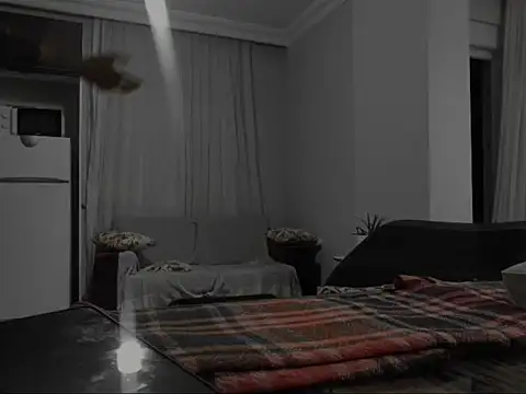 Snapshot of ALPHANDRE chatting on October 8, 2025, 6:52 pm ALPHANDRE online show from October 8, 2025, 6:52 pm