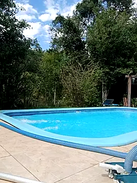 Snapshot of dutra498 chatting on April 6, 2026, 4:08 pm dutra498 online show from April 6, 2026, 4:08 pm