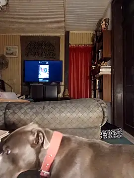 Snapshot of dutra498 chatting on March 25, 2026, 4:45 am dutra498 online show from March 25, 2026, 4:45 am