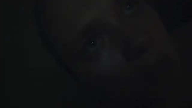 FrumCake online show from January 15, 2025, 12:41 am