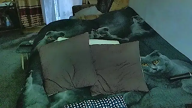 Snapshot of sex2 chatting on October 28, 2025, 4:13 am sex2 online show from October 28, 2025, 4:13 am